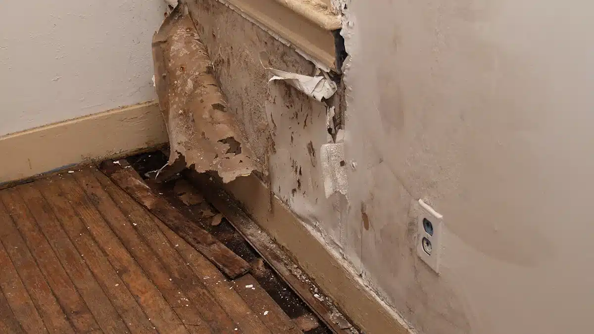 Damaged wall and wooden floor showing signs of mold and water damage near electrical outlets.
